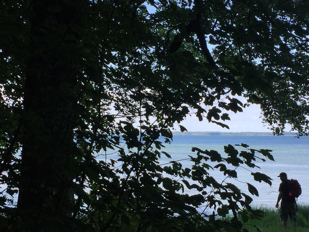Lindegaardapartment - Woods And Sea Hejls Eksteriør bilde